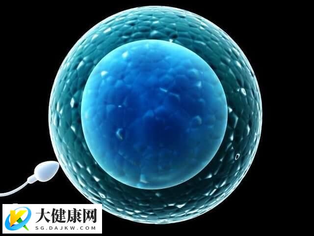 胚胎移植以后多需要休息