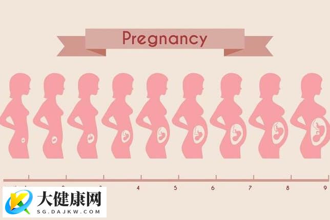 预产期只是一个大概时间