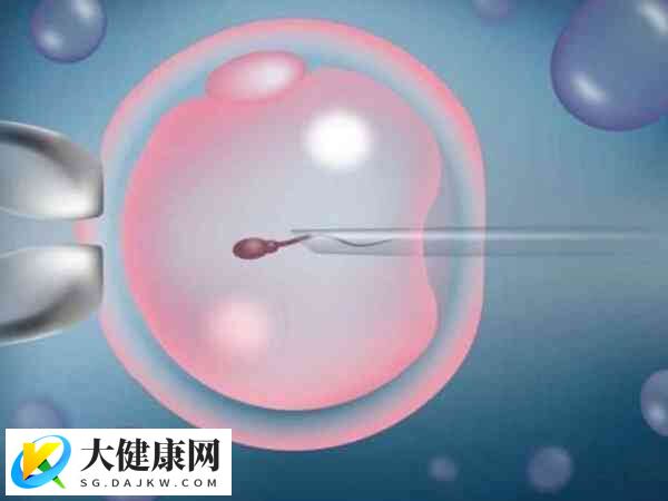 试管婴儿怎么可以提高成功率