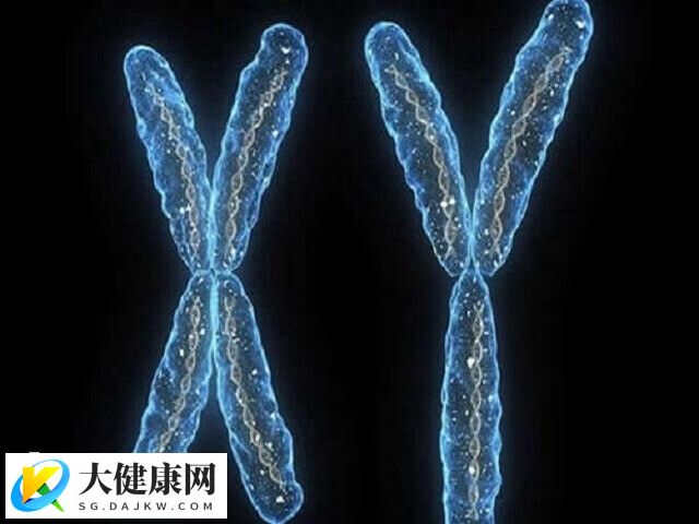 男性染色体46xyqh-对生育会有严重影响吗？