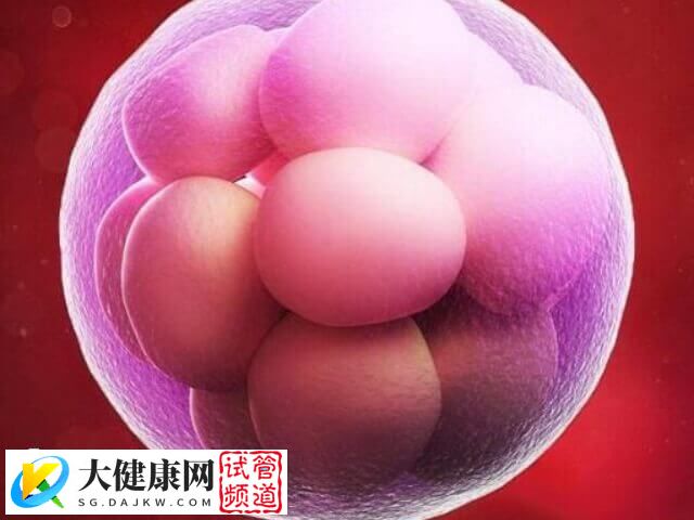 囊胚移植十天才着床正不正常